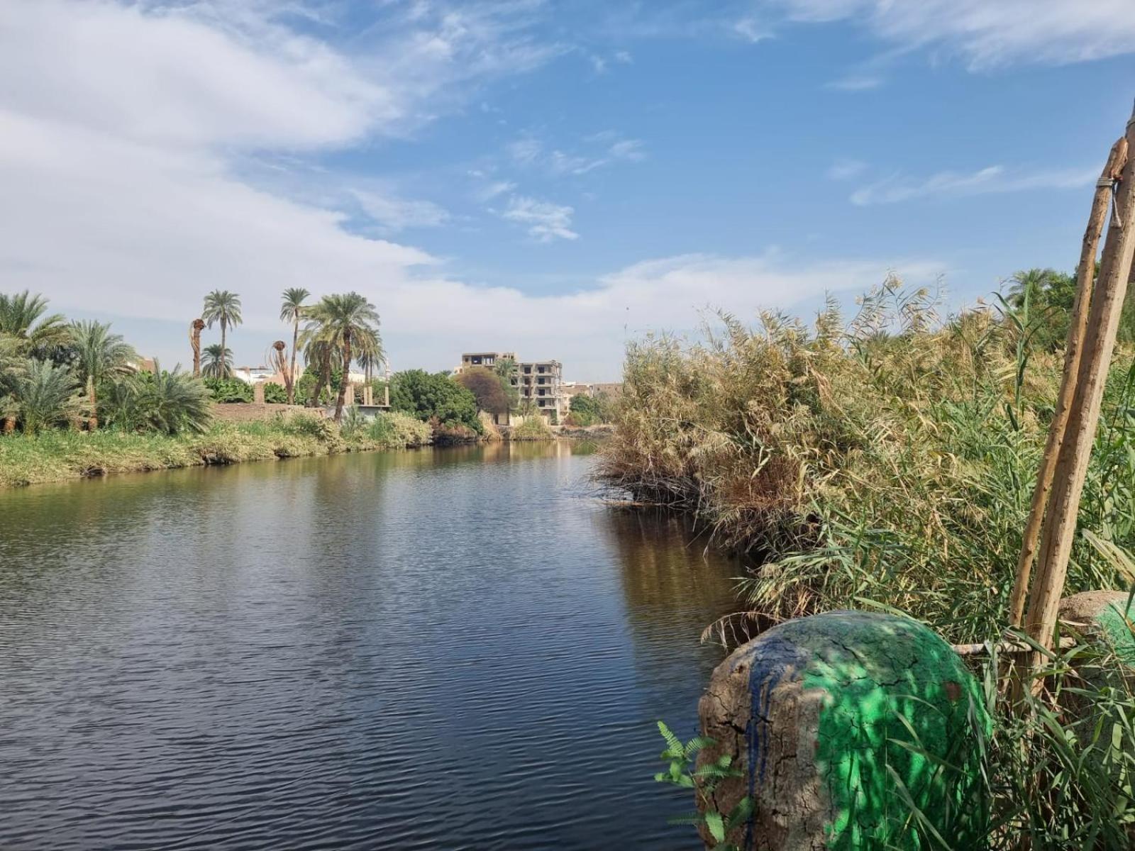Luxor Old Nile Hotel Pokoj fotografie