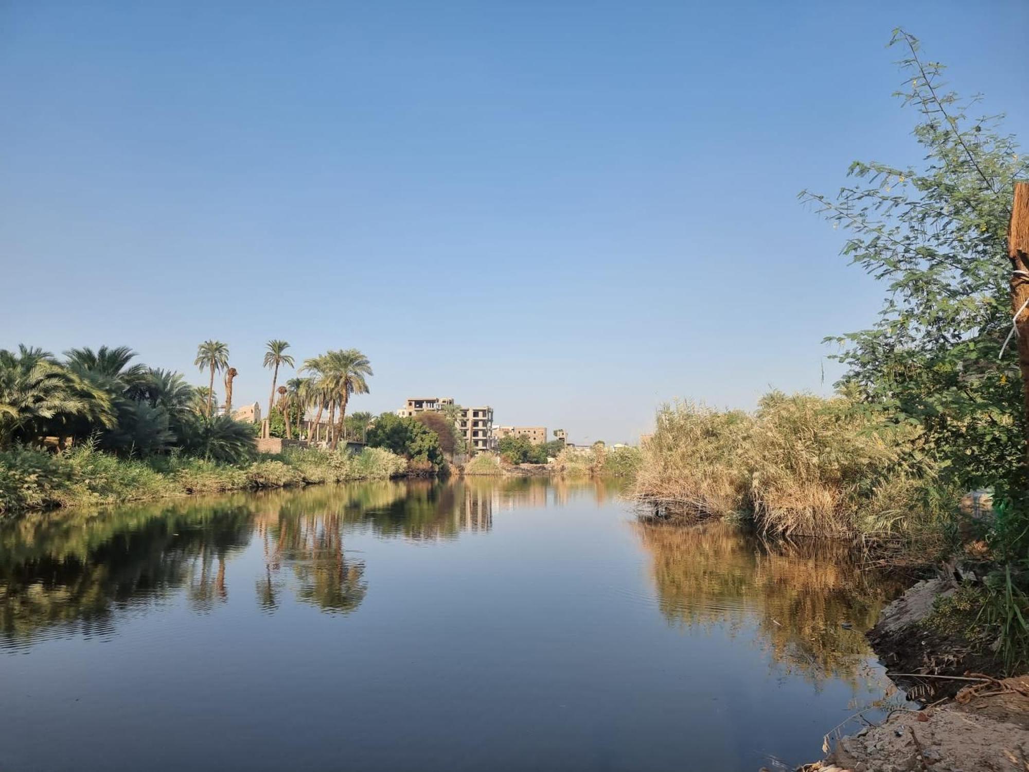 Luxor Old Nile Hotel Pokoj fotografie